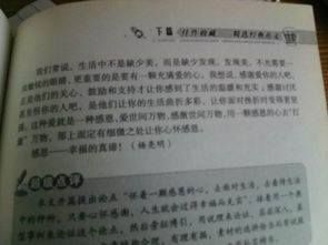 以憤怒為主題的作文的開(kāi)頭