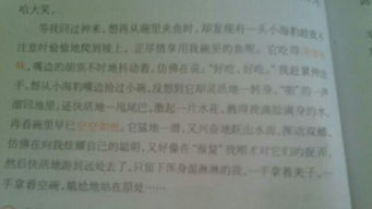 作文,來(lái)之不易,開(kāi)頭,收獲