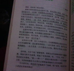 開(kāi)頭夏天景物描寫(xiě)作文800字