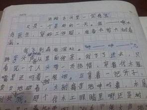 以孝開(kāi)頭的作文600字作文