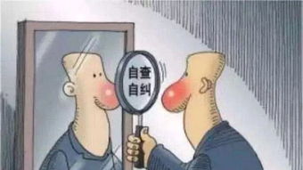 雙整治自檢自查報告(設備的自檢自查報告)