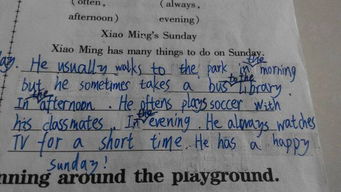 描寫(xiě)天氣好的英文小作文開(kāi)頭