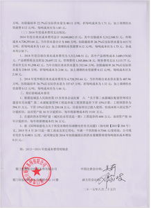 關(guān)于科技公司的專(zhuān)項審計報告()