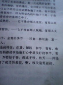 秋天風(fēng)景的描寫(xiě)的作文600字作文開(kāi)頭