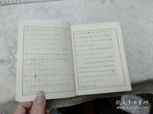 什么了的作文600字作文開(kāi)頭怎么寫(xiě)