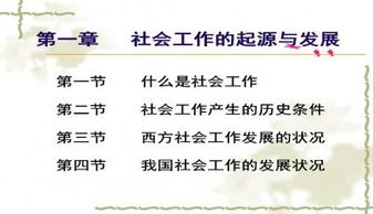 社會(huì )工作結案報告精選(結案報告精選模板兩篇)