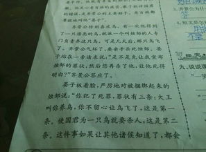 傷害或保護鳥(niǎo)作文開(kāi)頭