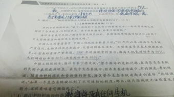 引用式開(kāi)頭的作文的開(kāi)頭加賞析