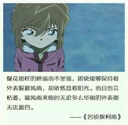 柯南經(jīng)典語(yǔ)錄開(kāi)場(chǎng)白,柯南名句經(jīng)典語(yǔ)錄,江戶(hù)川柯南經(jīng)典語(yǔ)錄