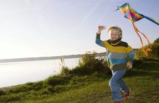 三級放風(fēng)箏作文開(kāi)頭