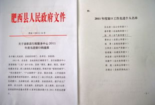 行政服務(wù)窗口工作總結(服務(wù)窗口收費員工作總結)