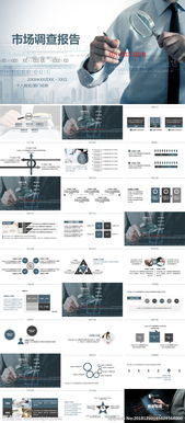 商場(chǎng)市調報告總結()