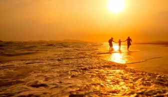 為幸福讓路作文開(kāi)頭