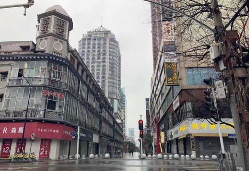 關(guān)于武漢封城的作文800字,關(guān)于武漢封城的作文素材,關(guān)于武漢封城的作文400字