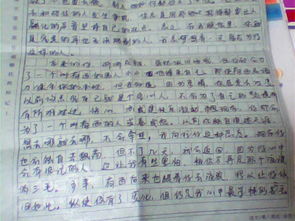 初中寫(xiě)人感情感動(dòng)的作文開(kāi)頭