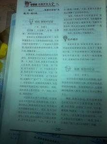 以曬為主題的作文開(kāi)頭怎么寫(xiě)