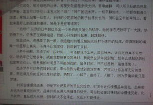 抒情時(shí)間的作文600字作文開(kāi)頭和結尾