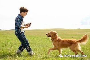 我的小狗央央(央林)