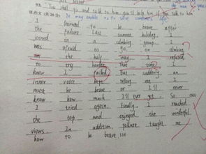 作文,開(kāi)頭,親愛(ài),老師