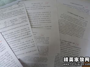 新疆總目標的心得體會(huì )(聚焦總目標的心得體會(huì ))