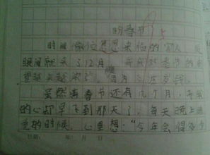 壓歲錢(qián)的來(lái)歷作文優(yōu)一個(gè)乃開(kāi)頭