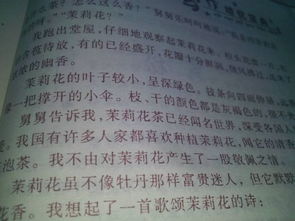 關(guān)于茉莉花的作文開(kāi)頭