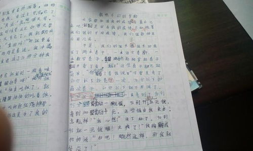 書(shū)給我的幫助作文600字作文開(kāi)頭