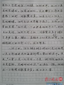 什么作文開(kāi)頭是最好的