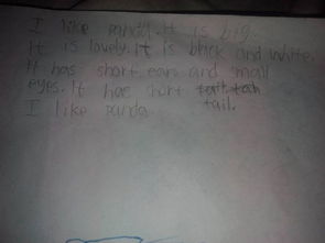 描寫(xiě)小動(dòng)物的英文作文,寫(xiě)小動(dòng)物的英文作文,我最喜歡的小動(dòng)物英文作文翻譯