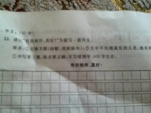 有你相伴真好作文開(kāi)頭結尾