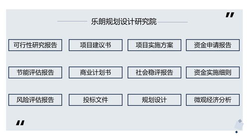 項目可行性研究報告(可行性研究報告,項目)(項目可行性研究報告)
