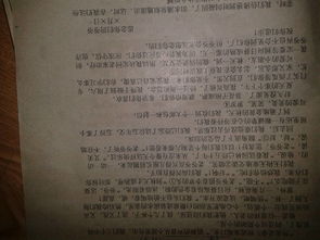 開(kāi)頭概括內容的作文