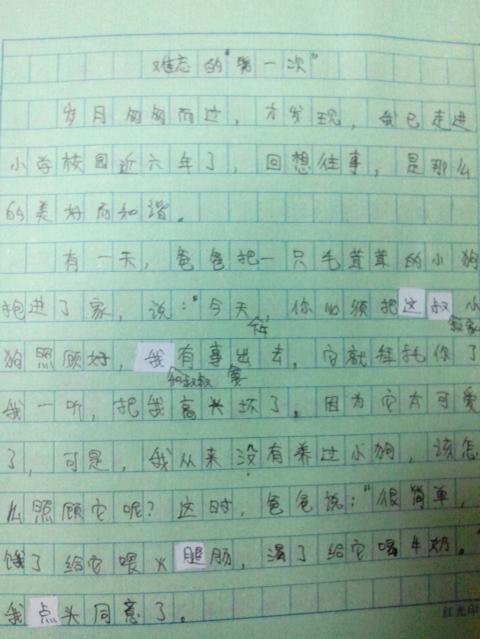 寫(xiě)童的事高中作文開(kāi)頭結尾