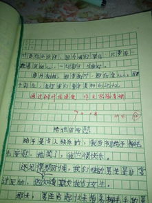 四級作文精彩開(kāi)頭結尾練筆