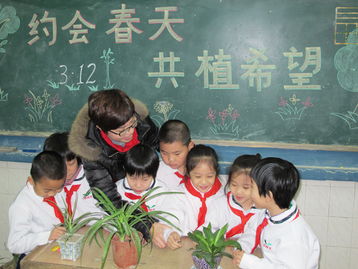 小學(xué)生環(huán)境教育主題班會(huì )(環(huán)境教育主題班會(huì ))