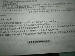 擁抱當下作文開(kāi)頭