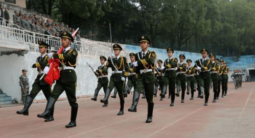 軍訓匯報表演新聞稿(軍訓匯報表演)