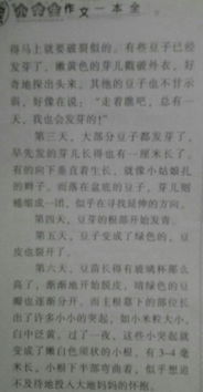 寫(xiě)水果的作文怎么開(kāi)頭