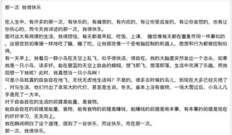 那一次我玩真高興作文開(kāi)頭