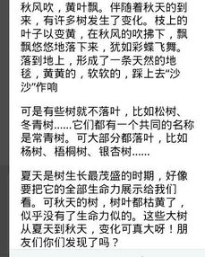 作文,描寫(xiě),開(kāi)頭