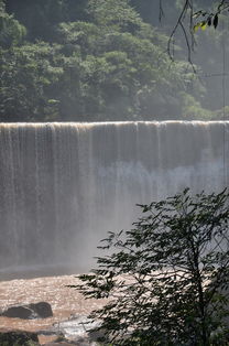 赤水二日游作文開(kāi)頭