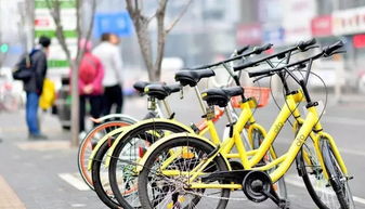 共享單車(chē)作文開(kāi)頭句