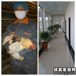 大一工廠(chǎng)社會(huì )實(shí)踐報告(大一學(xué)生工廠(chǎng)社會(huì )實(shí)踐報告)