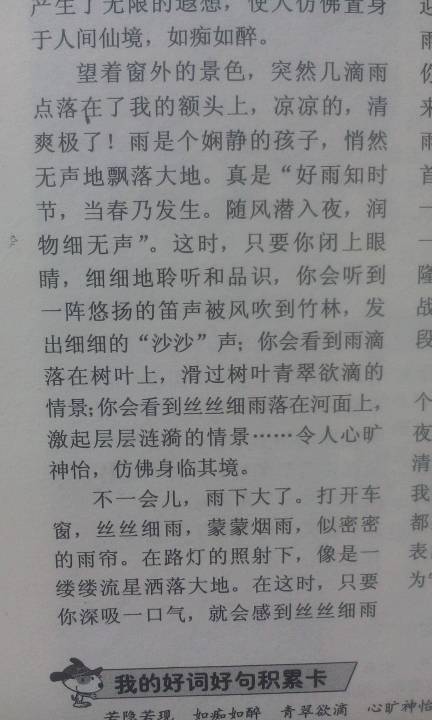 四級描寫(xiě)雨景的作文開(kāi)頭