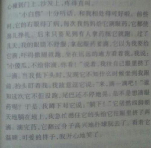 作文,該怎么,小動(dòng)物,開(kāi)頭