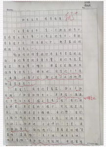 作文,開(kāi)頭,不讓,心靈