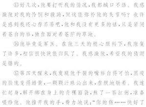 形容孝順作文開(kāi)頭和結尾