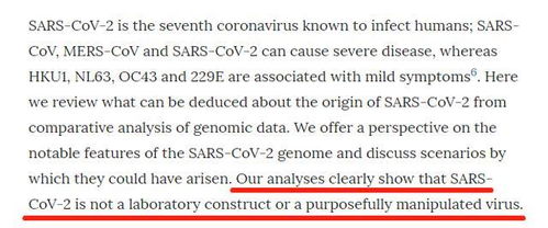 關(guān)于肝臟病毒的作文開(kāi)頭