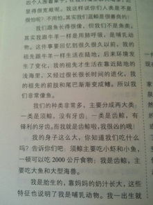 鯨的自述作文的好開(kāi)頭