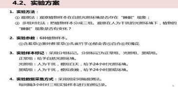 研究過(guò)程記錄(數學(xué)聽(tīng)課過(guò)程記錄)